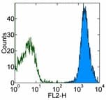 CD144 / CDH5 / VE Cadherin Antibody (clone 16B1, PE)