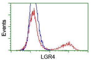 GPR48 / LGR4 Antibody (clone OTI5B8)