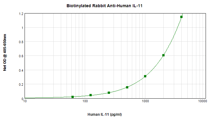Polyclonal Rabbit anti-Human IL11 Antibody (Biotin, WB)