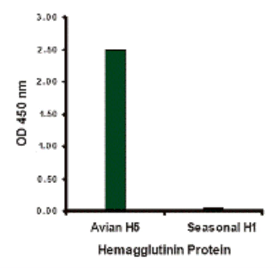 Influenza A Virus Hemagglutinin Antibody