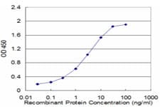 ATP4B Antibody (clone 1D10)