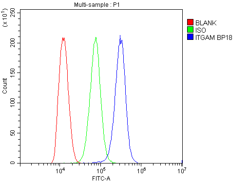 ITGAM / CD11b Antibody (aa17-382)