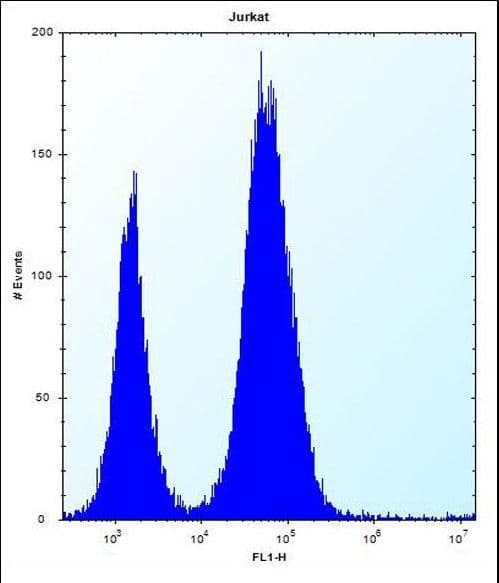 CTDNEP1 / DULLARD Antibody (aa131-160)