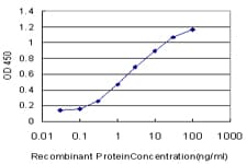 LIMPII / SCARB2 Antibody (clone 1C8)