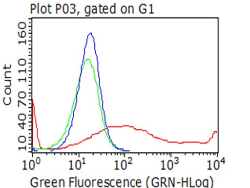 MME / CD10 Antibody (aa411-750, clone OTI1E4)