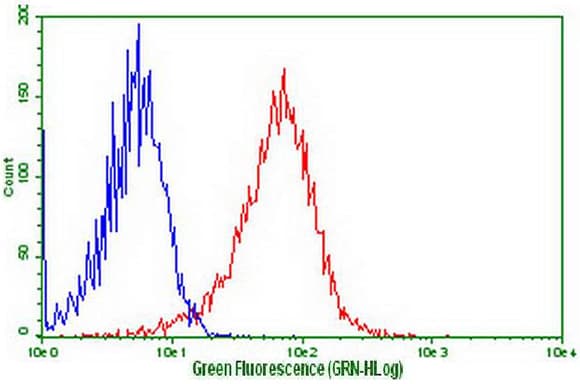GPR49 / LGR5 Antibody (aa22-543, clone OTI3F1)