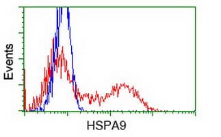 Monoclonal Mouse anti-Human HSPA9 / Mortalin / GRP75 Antibody (clone OTI10D7, IF)