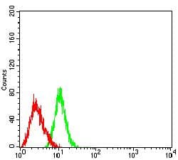 SIGLEC5 / CD170 Antibody (clone 3F5A3)