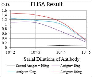 IHC-plus™ PRKAG1 / AMPK Gamma 1 Antibody (aa230-331, clone 7H3E9)