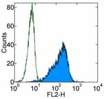 IHC-plus™ Monoclonal Mouse anti-Human CD34 Antibody (clone 4H11, IHC, WB)