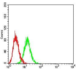 EVI2B Antibody (clone 8F3D1)