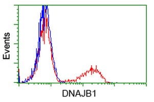 DNAJB1 / Hsp40 Antibody (clone OTI1B12)