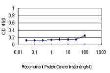 Monoclonal Mouse anti-Human COX6C Antibody (clone S51, IHC, WB)