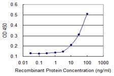 CAPN15 / SOLH Antibody (clone 4E2)