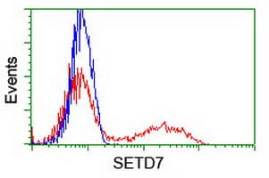 SETD7 / SET7 Antibody (clone OTI2E3, Carrier-free)