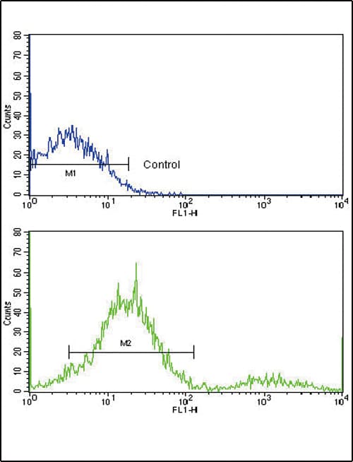MCL1 / MCL 1 Antibody (aa191-226)