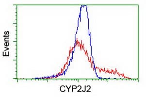 CYP2J2 Antibody (clone OTI2A9, Carrier-free)