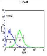 IHC-plus™ PLIN2 / ADFP / Adipophilin Antibody (aa186-214)