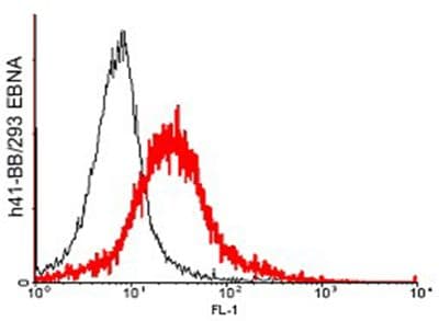 TNFRSF9 / 4-1BB / CD137 Antibody