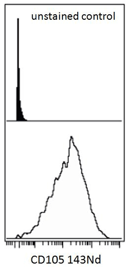 Monoclonal Mouse anti-Human CD105 Antibody (clone MEM-226, WB)