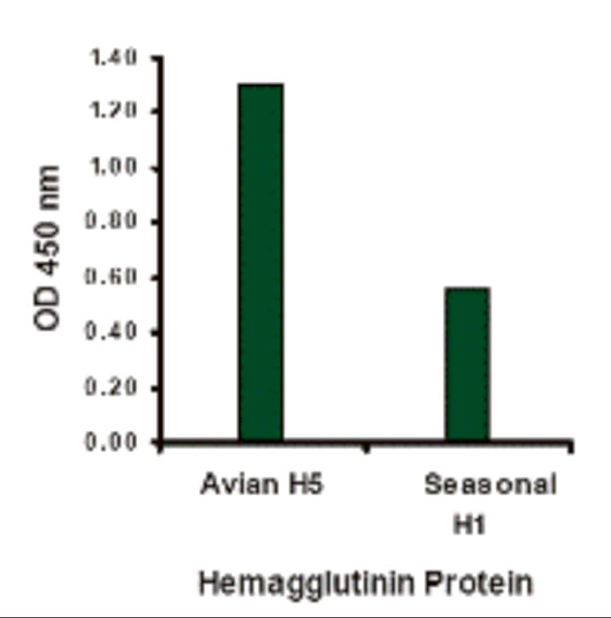 Influenza A Virus Hemagglutinin Antibody