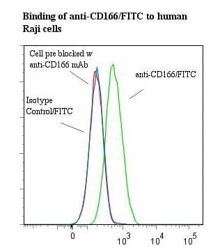 ALCAM / CD166 Antibody (clone 3A6, FITC)