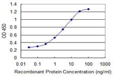 LYST Antibody (clone 3H1)