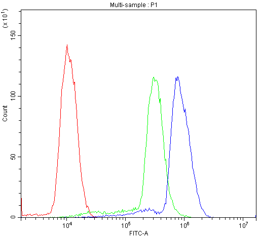 AIRE Antibody