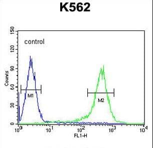 TMEM132D Antibody (aa805-833)