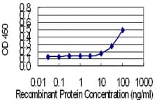 FKBP1A / FKBP12 Antibody (clone 1E5-A12)