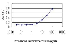 Monoclonal Mouse anti-Human IFRD2 Antibody (clone 1A4-1G1, IF, WB)