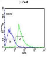 KLHL6 Antibody (aa543-571)