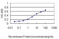 GCLC Antibody (clone 3H1)