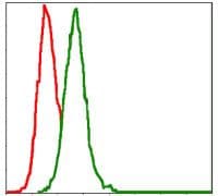 Monoclonal Mouse anti-Human MAP2K7 / MEK7 Antibody (clone 400000, IHC, IF, WB)