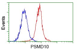 Monoclonal Mouse anti-Human PSMD10 / Gankyrin Antibody (clone OTI3F6, WB)