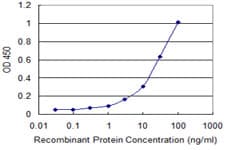 NUDT2 Antibody (clone 4A4-3C3)