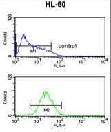 Polyclonal Rabbit anti-Human TNFRSF14 / CD270 / HVEM Antibody (aa210-236, IHC, WB)