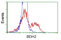 BDH2 Antibody (clone OTI4G4)