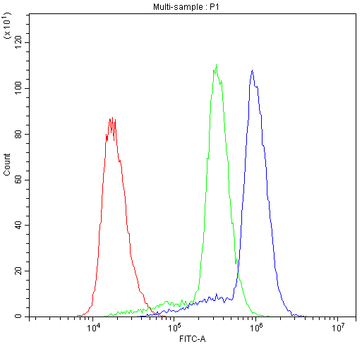 ACCN3 / ASIC3 Antibody (aa56-73)