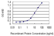 Monoclonal Mouse anti-Human APOC3 / Apolipoprotein C III Antibody (clone 8H7, IF, WB)