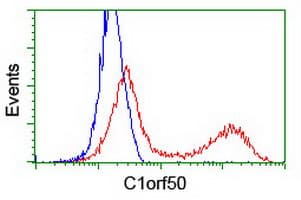 Monoclonal Mouse anti-Human C1orf50 Antibody (clone OTI4D10, IF, WB)