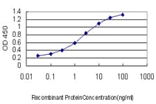 TFAP4 / AP-4 Antibody (clone 7A10)