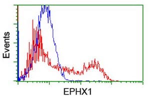 EPHX1 / Epoxide Hydrolase 1 Antibody (aa21-230, clone OTI2C1, Carrier-free)