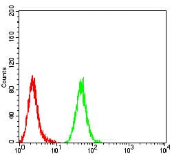 MIB1 Antibody (clone 6A9C9)