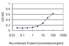 CKS1B / CKS1 Antibody (clone 3G8)