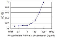 ARHGEF5 Antibody (clone 3A12-B5)