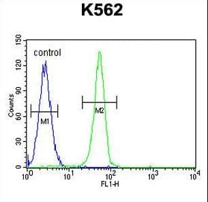 PLEKHA4 Antibody (aa21-50)