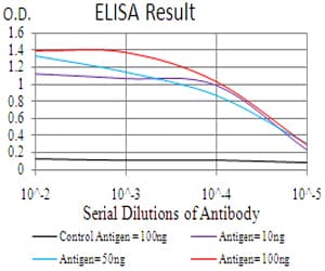 NRP1 / Neuropilin 1 Antibody (clone 5B1E11)