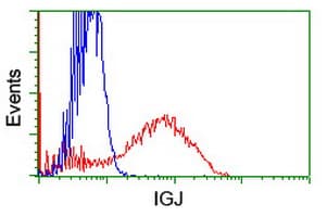 Monoclonal Mouse anti-Human JCHAIN / Ig J Chain Antibody (clone OTI3E12, WB)