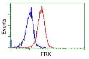 FRK Antibody (clone OTI3E2)
